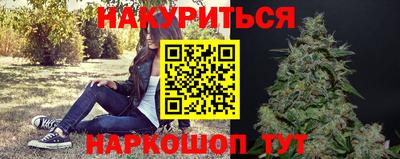 прущие грибы Чебоксары