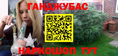 прущие грибы Чебоксары