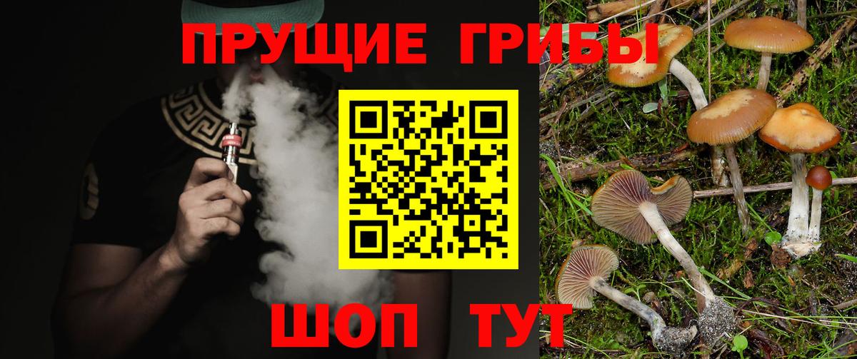 Галлюциногенные грибы прущие грибы  Галлюциногенные грибы Psilocybe  Вход с VPN  Бийск 