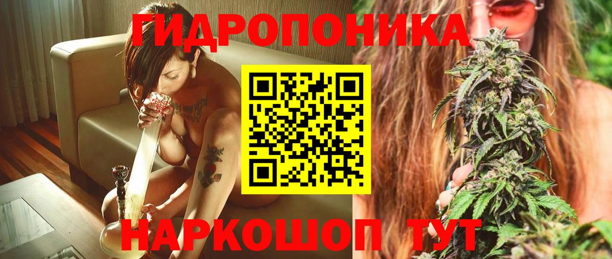 Конопля ГИДРОПОН  Бошки Шишки гибрид  Бийск  Шишки марихуана планчик  Конопля AK-47  Вход с VPN 